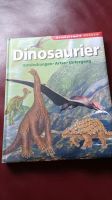 Schönes großes Buch , Dinosaurier 96 Seiten, guter Zustand Brandenburg - Luckenwalde Vorschau