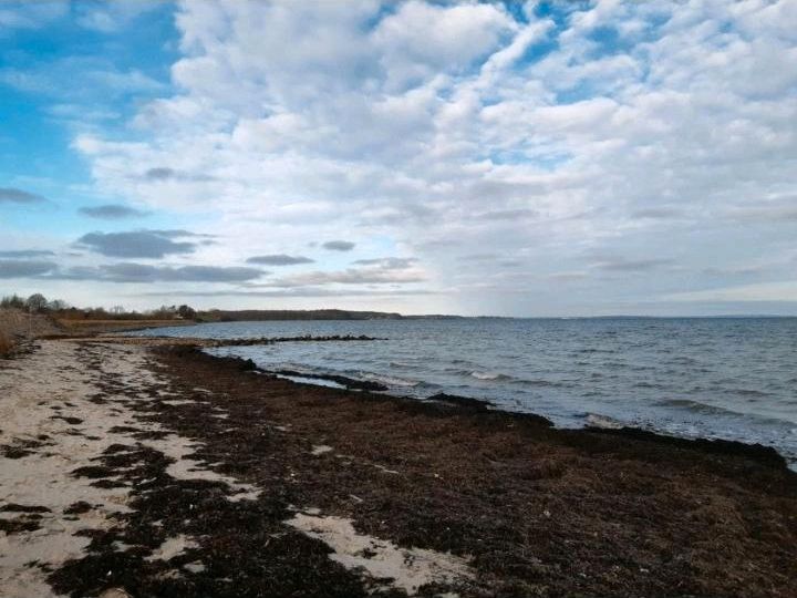 Ferienwohnung an der Ostsee in Stangheck