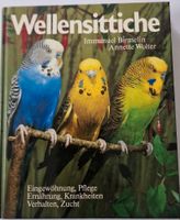 Wellensittiche - Eingewöhnung, Pflege, Ernährung, Krankheiten... Nordrhein-Westfalen - Mülheim (Ruhr) Vorschau