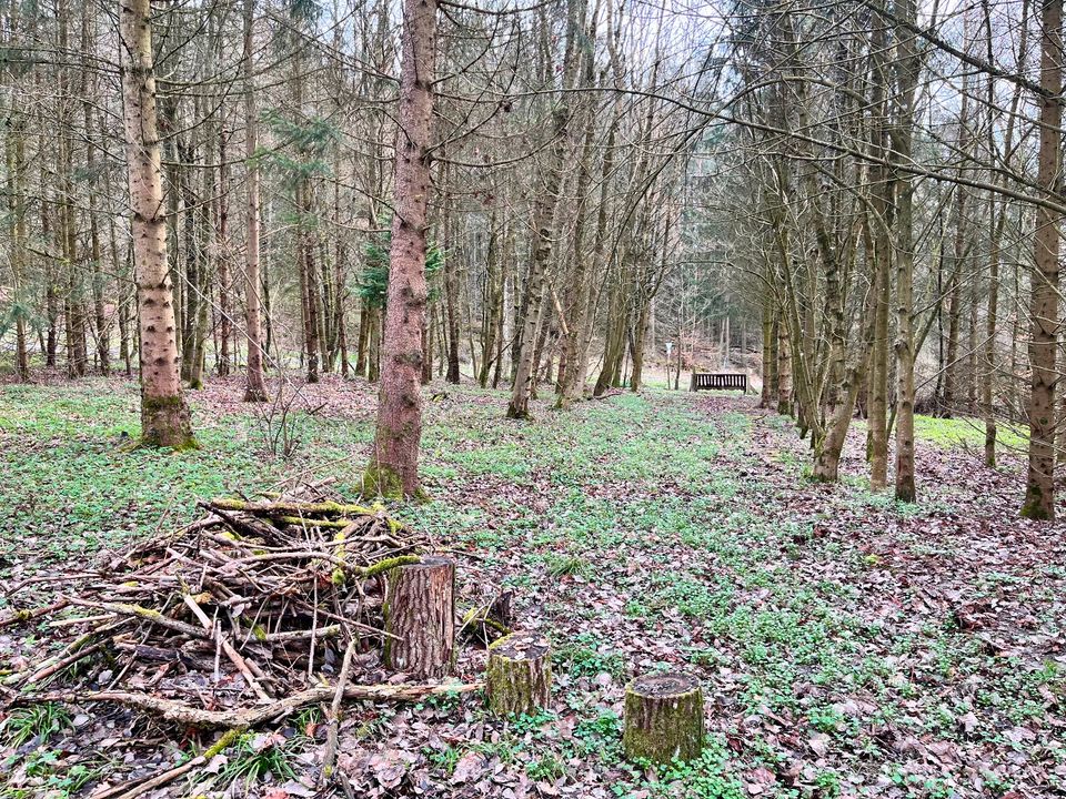 Eigener See, Seegrundstück, Grundstück in Hanau