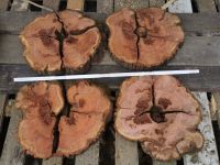 Pflaume Baum Scheibe Holz Untersetzer Basteln Epoxy Epoxidharz Sachsen - Eppendorf Vorschau