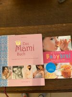 Das Mami Buch und Kochbuch für Babybrei Sachsen - Döbeln Vorschau