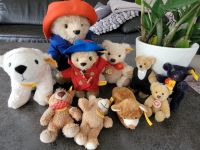 Diverse Steiff Bären Bär Teddy Teddies Nordrhein-Westfalen - Dinslaken Vorschau