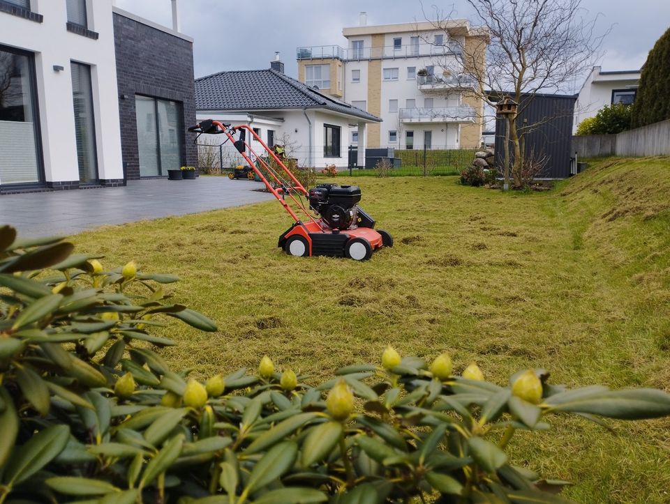 Rasen Vertikutieren Moos entfernen Düngen Rasen Nachsaat Mähen in Stralsund