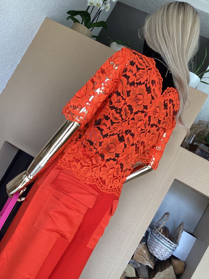 Sandro Bluse , orange, Spitze , transparent in Viernheim