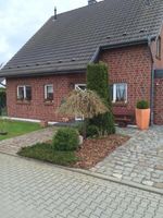 Traumhaus mit Sauna und Solaranlage nur 30 Min. von Berlin entfernt! Brandenburg - Golßen Vorschau