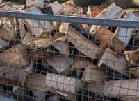 30kg Brennholz Fichte trocken 25cm Scheite Versand ist inklusive! Hessen - Eschenburg Vorschau