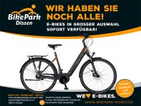 Kreidler Elektro-Fahrrad Eco8 Bosch Perform 75NM 625Wh Rücktritt Niedersachsen - Dissen am Teutoburger Wald Vorschau