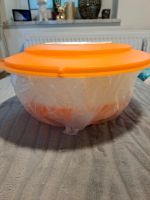 TUPPERWARE 4L TEIGSCHÜSSEL NEU Bayern - Burglengenfeld Vorschau