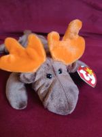 ty Beanie Babies "Chocolate" Elch Berlin - Treptow Vorschau