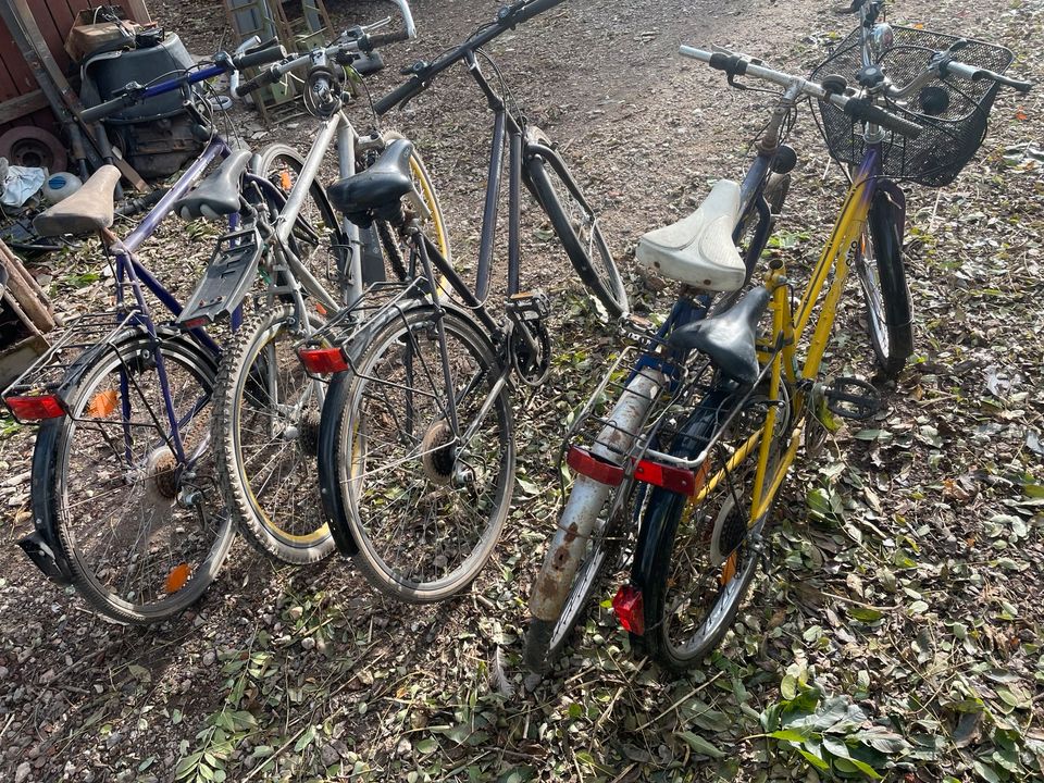 Fahrrad Fahrräder Damenrad Herrenrad Schrott in Groß Neuendorf