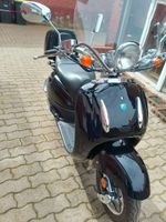 Andere Alpha Motors Firenze Moped Roller Hansestadt Demmin - Werder Vorschau