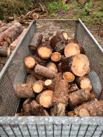 Brennholz Feuerholz Holz Kiefer Königs Wusterhausen - Zeesen Vorschau