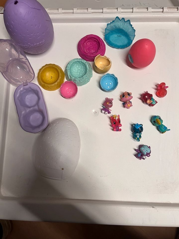 Hatchimals in Bakum