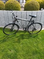 Herrenfahrrad Morrison MX 290 / Rahmengr. 56 / sehr guter Zustand Bayern - Bachhagel Vorschau