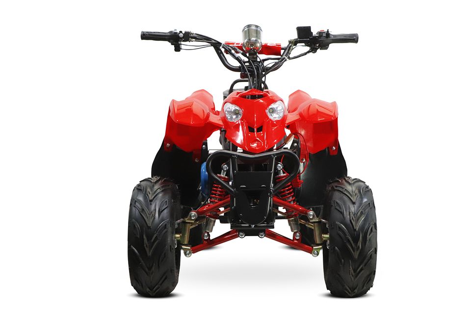 Eco Razer Midi Quad 800W 36V 6" ATV Kinder Quad Kinderfahrzeug in Gelsenkirchen