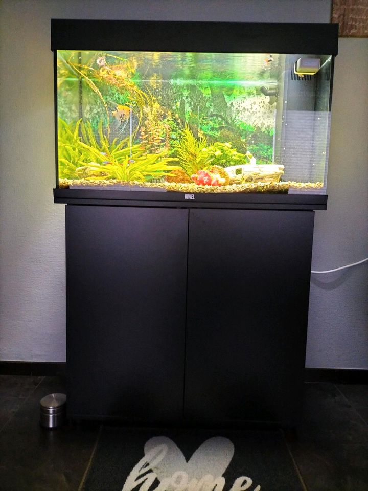 Aquarium zu verkaufen. in Südbrookmerland