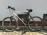 28 Zoll Scott Herrenfahrrad Mountainbike gut erhalten voll Frankfurt am Main - Bockenheim Vorschau