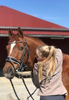 Reitbeteiligung für Endmaßpony gesucht Essen - Essen-Ruhrhalbinsel Vorschau