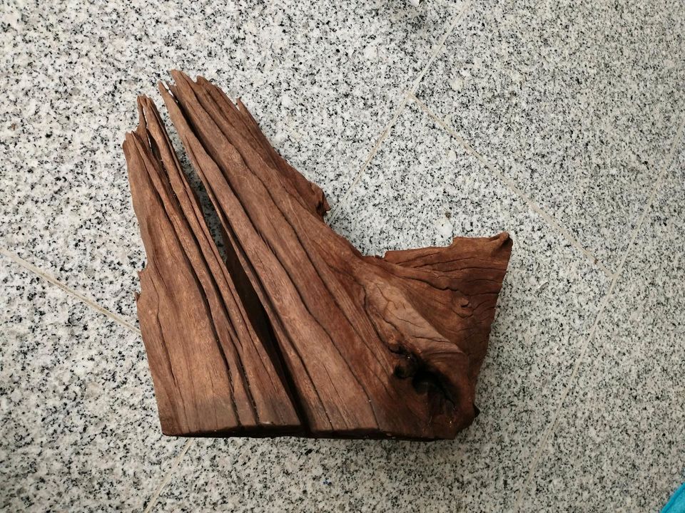 Grosses Holz fürs Aquarium in Meckenbeuren