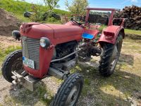 Schlepper Traktor Massey Ferguson MF 30 Bayern - Altdorf bei Nürnberg Vorschau