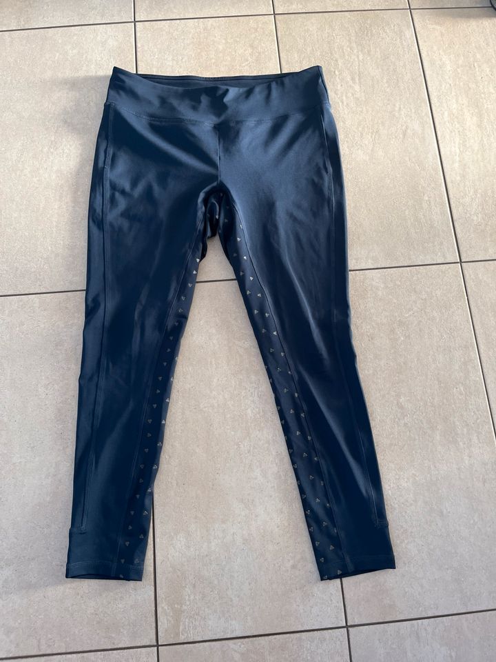 Reithose Reitleggings blau L 44/46 in Coesfeld