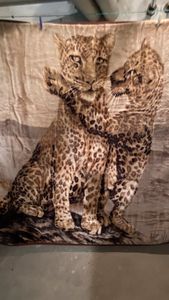 Leoparden Decke eBay Kleinanzeigen ist jetzt Kleinanzeigen