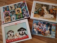 Puzzle mit Hunden Düsseldorf - Garath Vorschau