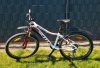 Mountainbike Scott 26 Zoll Sachsen-Anhalt - Wolfen Vorschau