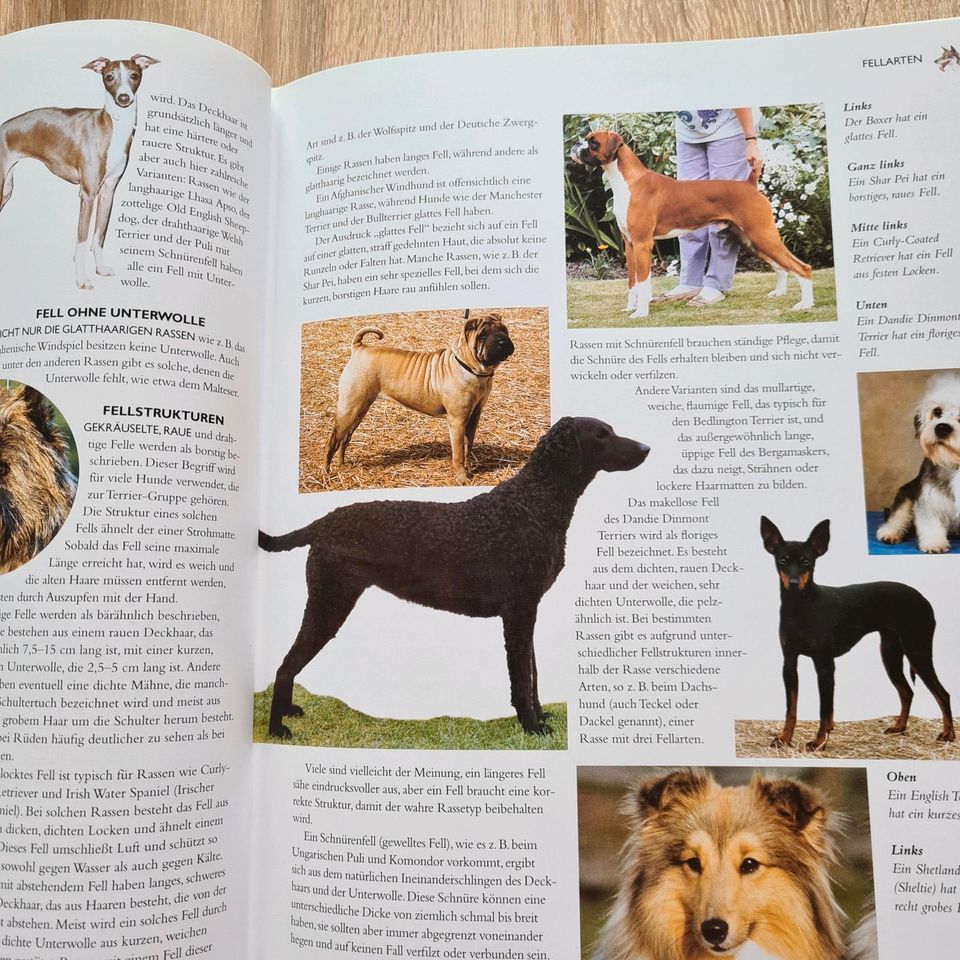 400 Hunde Rassen * Pflege * Geschichte 1000 Bilder neuwertig in Starsiedel