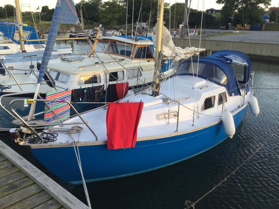 Segelboot Bandholm 24 - helft den Schweinswalen! in Langballig