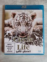 Circle of Life - Baby Planet - BluRay/Film - 3,00€ Baden-Württemberg - Kandern Vorschau