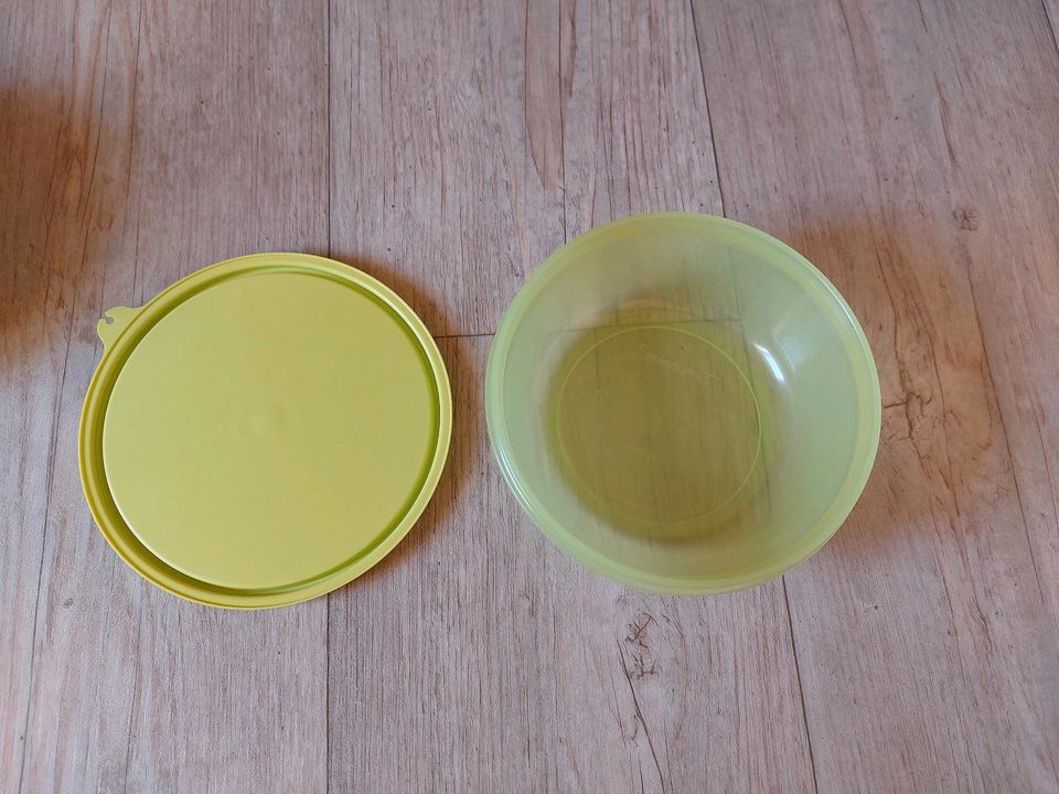 Tupperware Dosen-Set in Hodenhagen