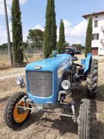 Traktor Landini R 3200 Schlepper 35 PS (Oldtimer von 1971) Nürnberg (Mittelfr) - Mitte Vorschau