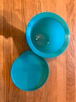 Tupperware Schüssel 550ml Baden-Württemberg - Kornwestheim Vorschau