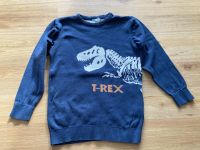 Strick Pulli Pullover Dinosaurier von Vertbaudet Gr. 128 Bayern - Mühldorf a.Inn Vorschau