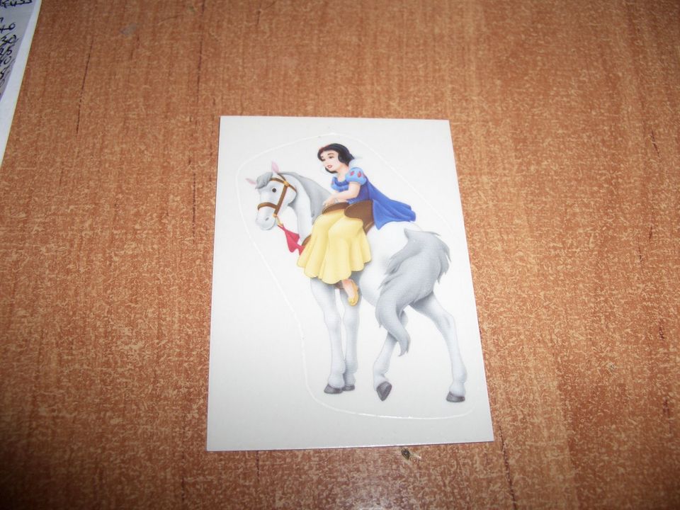 Panini Disney Pretty Princess 1 Sticker Nr. 80 sehr gut erhalten in Eschborn