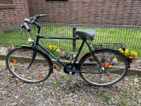 Herkules Herren Fahrrad Nordrhein-Westfalen - Senden Vorschau