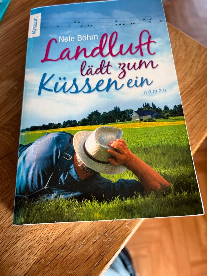 Buch Nele Böhm Landluft in Herne