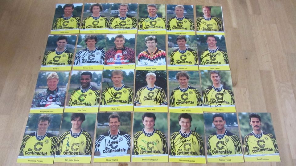 BVB Autogrammkarten & Sammelkarten (u.a. Panini) in Dortmund