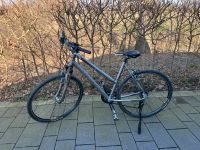 Stevens X7C Damen Crossbike Nordrhein-Westfalen - Werne Vorschau