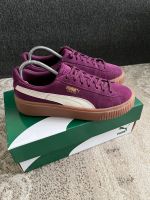 Puma Suede !NEU! Kreis Pinneberg - Pinneberg Vorschau