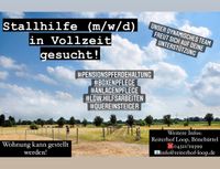 Stallhilfe (m/w/d) gesucht! Vollzeit/Teilzeit Neumünster - Bönebüttel Vorschau