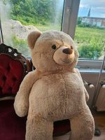 Teddy neu XXL Sachsen-Anhalt - Aschersleben Vorschau