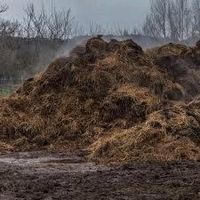 Pferdemist Hessen - Wetter (Hessen) Vorschau