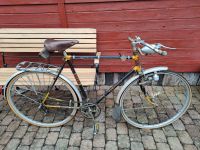 Rennrad/Sportfahrrad Scheunenfund Hessen - Battenberg Vorschau