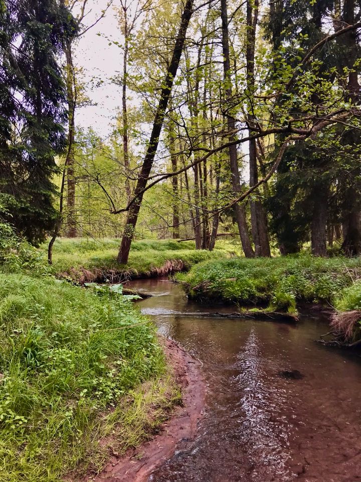 SUCHE - Waldgrundstück/Garten für Freizeitnutzung in Schwarzenbruck