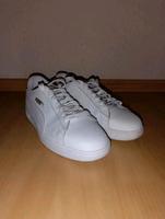Puma Sneaker Turnschuhe Größe 37,5 Hamburg - Harburg Vorschau