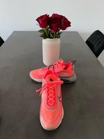 Nike Air Max 2090 Köln - Köln Brück Vorschau