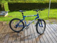 Fahrrad Mountainbike 26 Zoll Baden-Württemberg - Forbach Vorschau